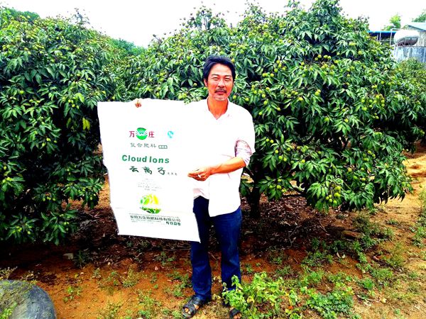 海南省樂東縣萬沖鎮萬沖村李澤斌